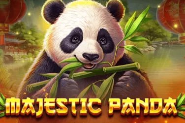 Pengguna menggunakan perangkat mobile untuk login di platform judi188 dengan aman